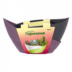 Сливовый антрацит