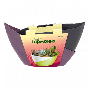 Сливовый антрацит