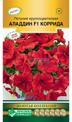 Петуния Аладдин Коррида