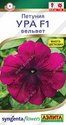 Петуния Ура вельвет
