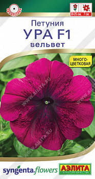 Петуния Ура вельвет