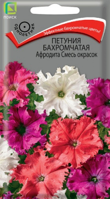 petunia_bahrom_afrodita_smes_okrasok