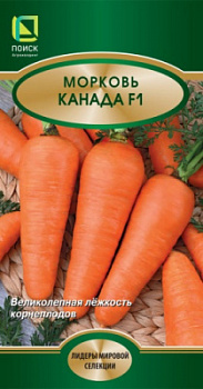 morkov_kanada_f1