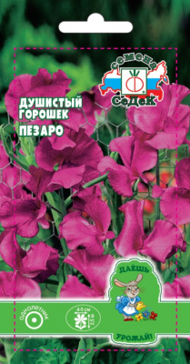 dushistyy_goroshek_pezaro