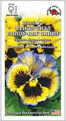 Виола фризл сизл еллоу блу свирл