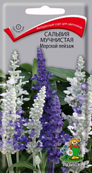 salvia_muchnistaya_morskoi_peizazh