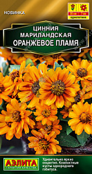 Цинния мариландская  Оранжевое пламя