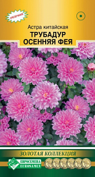 Астра китайская Трубадур Осенняя Фея