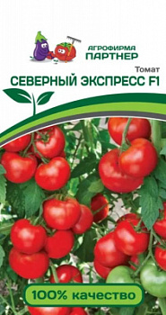 Томат Северный экспресс