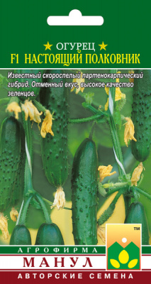 Настоящий полковник