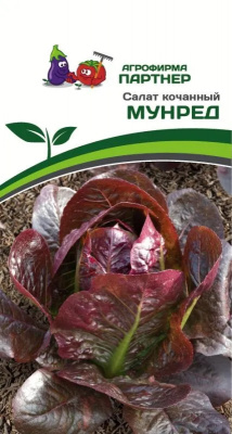 Салат мунред