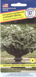 Plektrantus_serebristyi_SILVER_SHILD