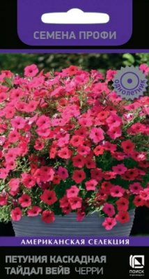 petunia_kaskadnaya_taidal_wave_cherry