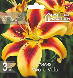 Лилия Viva la Vida