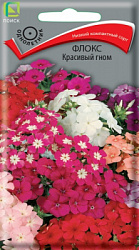 floks_krasivy_gnom