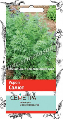 Салют