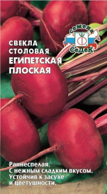 Свекла египетская