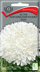 astra_korolevsky_razmer_belaya