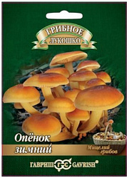зимний