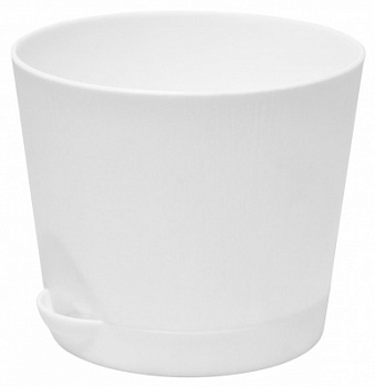 04_white02 (1)
