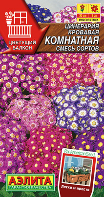 Цинерария комнатная, смесь сортов_ЦП