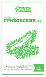 кабачок ГРИБОВСКИЙ
