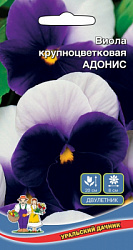 viola-krupnocvetkovaya-adonis