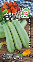 kabachok_vanyusha_f1