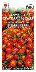 Бархатцы Красная Брокада