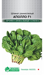 Шпинат Аполло