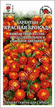 Бархатцы Красная Брокада