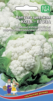 kapusta-cvetnaya-koza-egoza-new