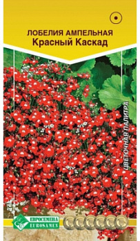 Лобелия