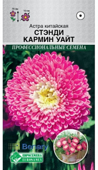 Астра стэнди
