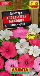 Лаватера Ангельские мелодии, смесь сортов_ЦП