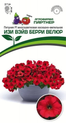 Петуния изи вэйв берри велюр