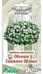 Вербена Обсешн Снежное Облако