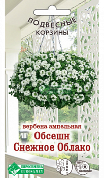 Вербена Обсешн Снежное Облако