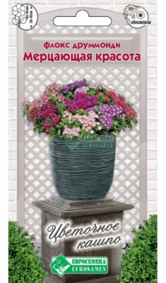 Флокс МЕРЦАЮЩАЯ КРАСОТА