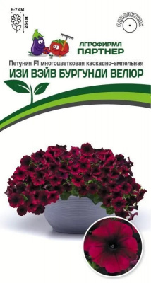Петуния изи вэйв бургунди велюр