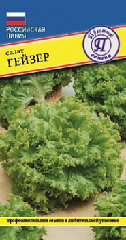 Салат Гейзер