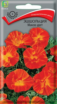 esholcia_makov_cvet