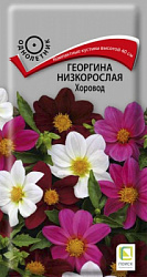 georgina_nizkorosl_horovod