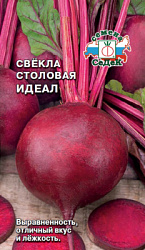 svekla_ideal