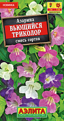 Азарина Вьющийся триколор, смесь сортов_ЦП (1)