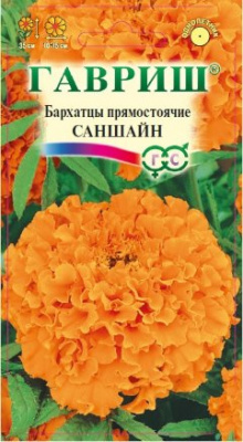 Саншайн