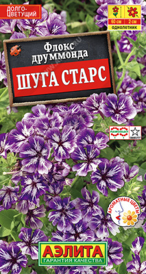 Флокс Шуга старс
