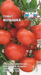 tomat_vspyshka