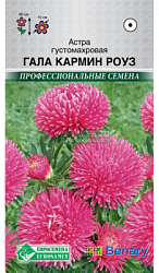 Астра Гала Кармин Роуз