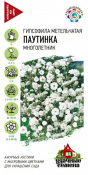 Паутинка
